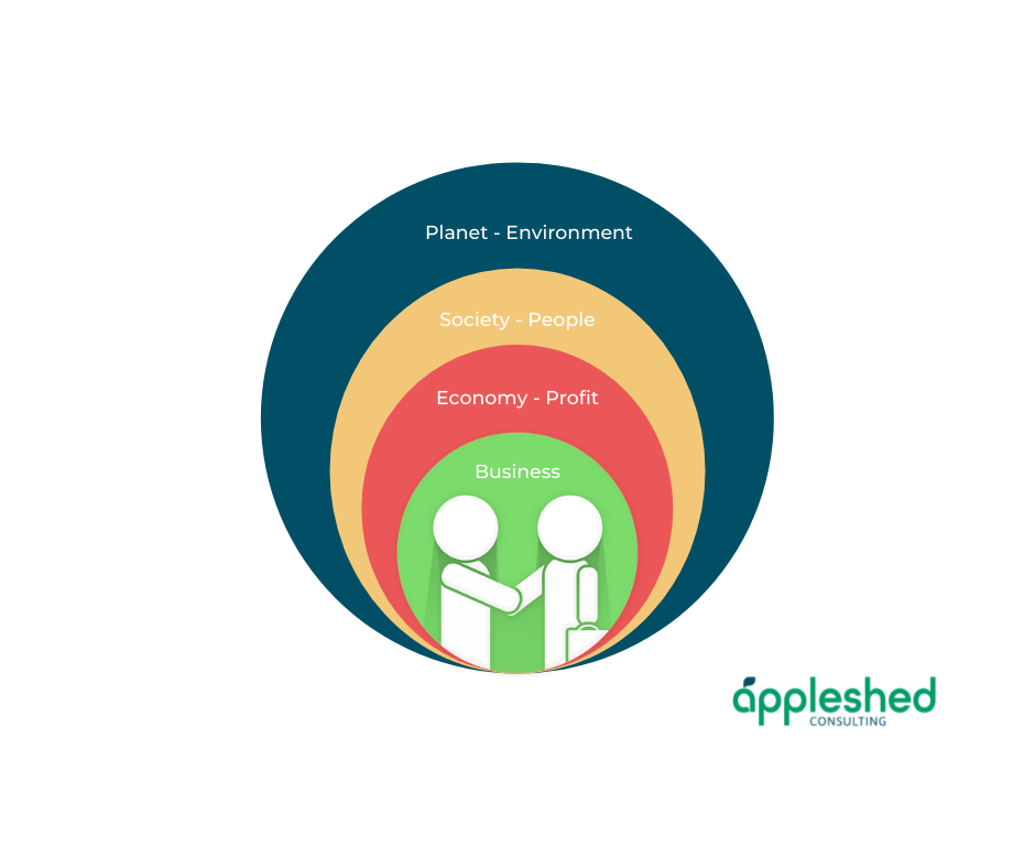 Appleshed Consulting - Systems thinking overview