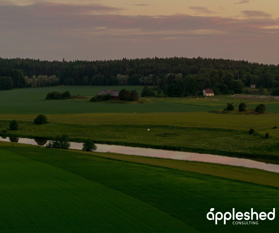 Appleshed Consulting - Sustainability in Strategy - case study 5